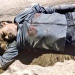 a3fbec11-0fa3-4755-8d29-34b53b1f5e2d