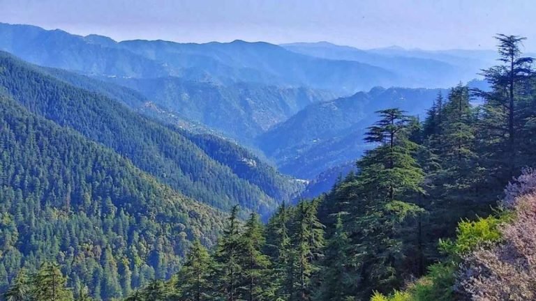 list-of-famous-places-to-visit-in-kufri