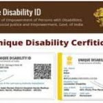 Unique-Disability-ID-UDID-scheme-1