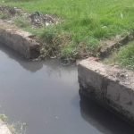 FB_IMG_1667824233653