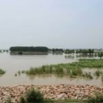 Screenshot_2023-07-12-17-34-28-36_9917c490a6e042b6281de550e45a1525