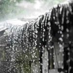 images - 2023-07-11T224608.163