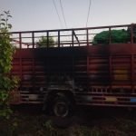 IMG-20250323-WA0035