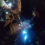 IMG-20250805-WA0042