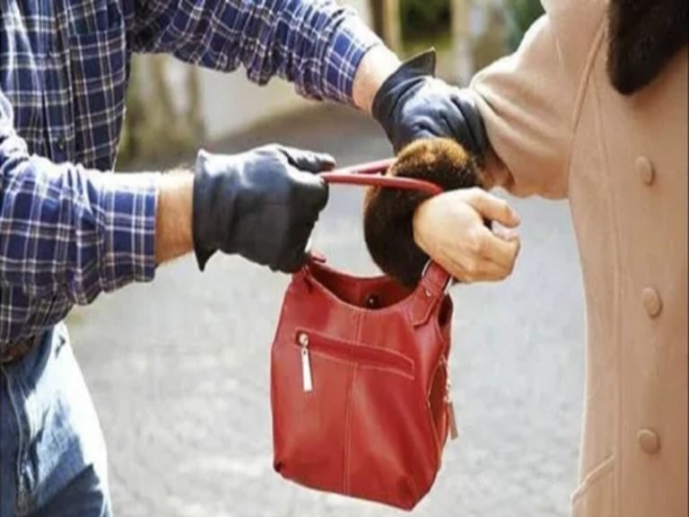 snatching_purse_1674889490