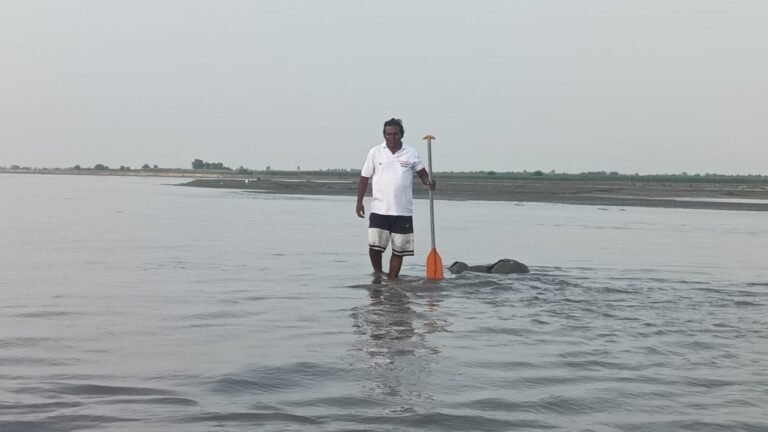 IMG-20251012-WA0018
