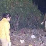 Screenshot_20251122-070248_1