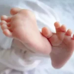 21_08_2025-new-born_24020050_m