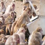 WhatsApp Image 2025-11-24 at 2.10.17 PM