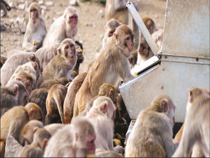 WhatsApp Image 2025-11-24 at 2.10.17 PM