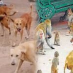 cbf551c2-dc83-4b42-bac9-735f564a523f_1768888619019