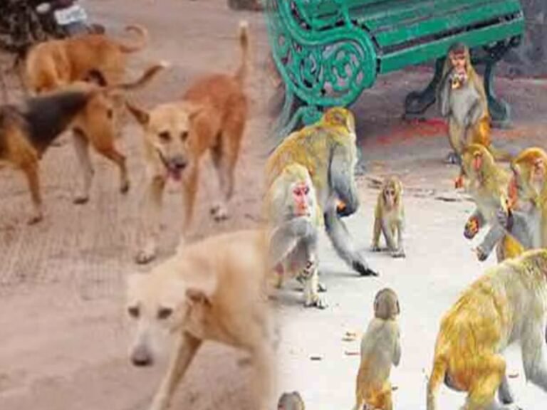 cbf551c2-dc83-4b42-bac9-735f564a523f_1768888619019