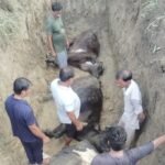 IMG-20260728-WA0018