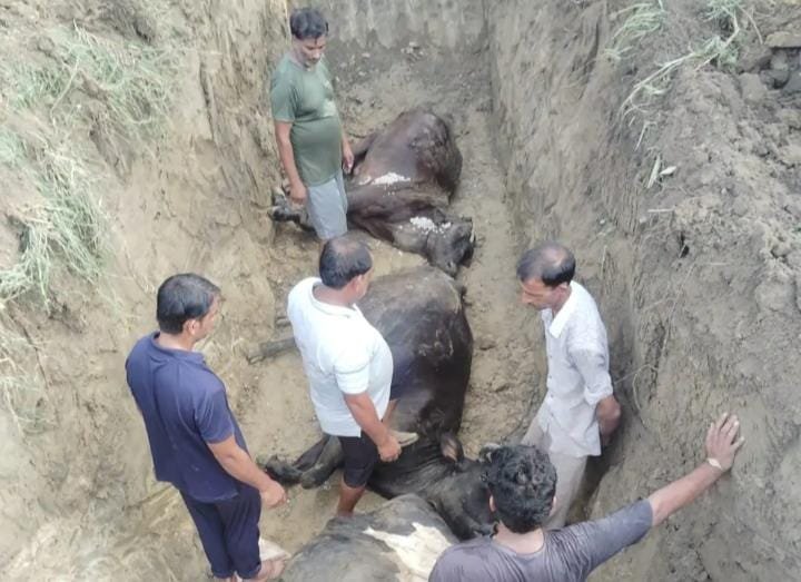 IMG-20260728-WA0018
