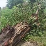 IMG-20260808-WA0020