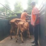 IMG-20260819-WA0056